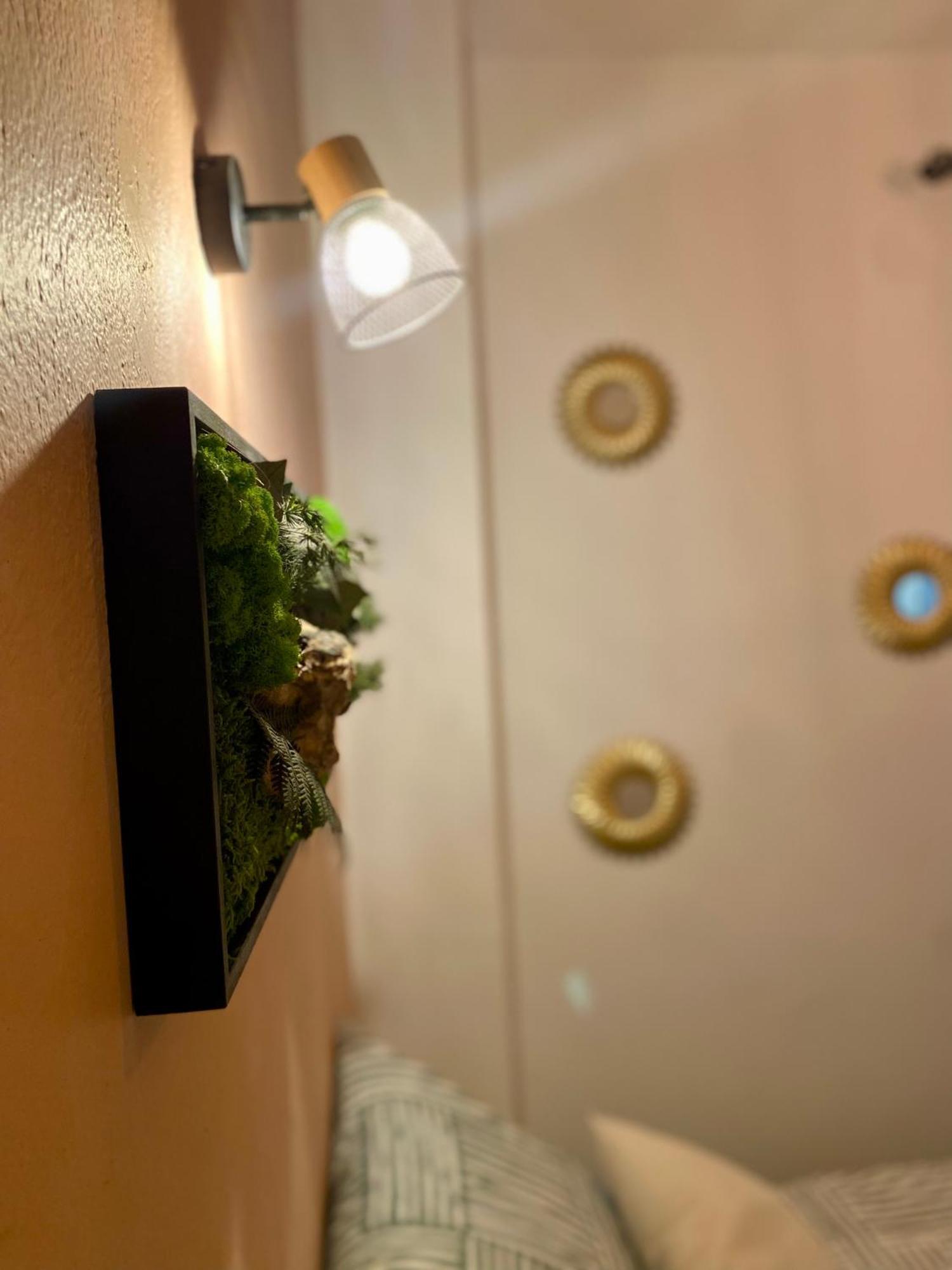Magnifique Appartement Avignon Intra-Muros Екстериор снимка
